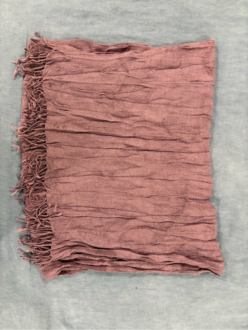Lucky Brand Purple Knit Scarf with Fringe